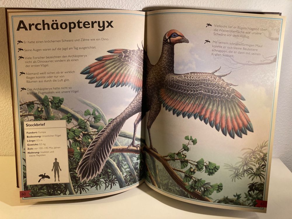 Sachbuch Kinder Das Riesenbuch Der Dinosaurier Kaufen Auf Ricardo