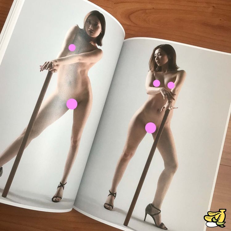 Erotik Visual Nude Pose Book Japan Sexy AV Idol Kaufen Auf