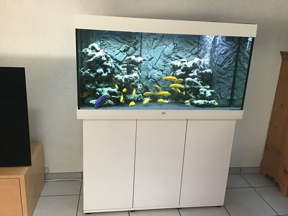 Juwel Aquarium Rio Liter Led Inkl Fische Kaufen Auf Ricardo