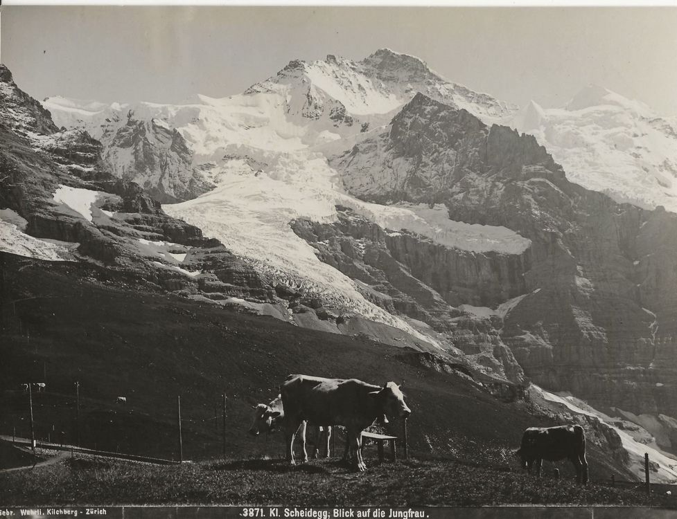 Vintage Wehrli Kl Scheidegg Jungfrau Kaufen Auf Ricardo