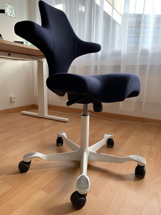 HAG Capisco ergonomischer Bürostuhl Kaufen auf Ricardo