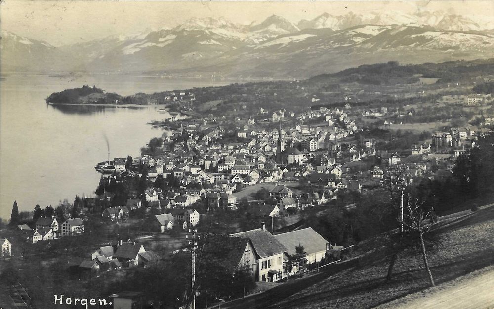 Horgen Zh Flugaufnahme Kaufen Auf Ricardo