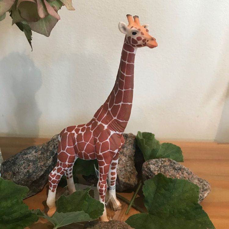 Schleich Giraffe Kaufen Auf Ricardo