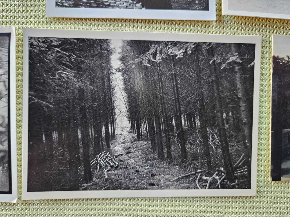 Cartes Postal De Grand Photographe Neutre Sans Timbre Kaufen Auf