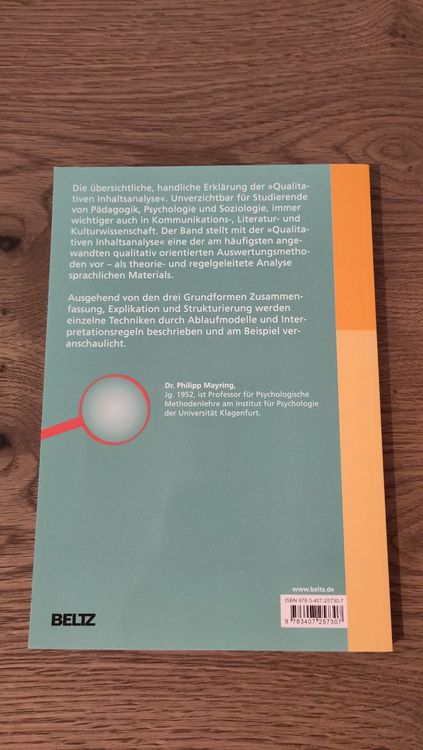 Qualitative Inhaltsanalyse Grundlagen Und Techniken Kaufen Auf Ricardo