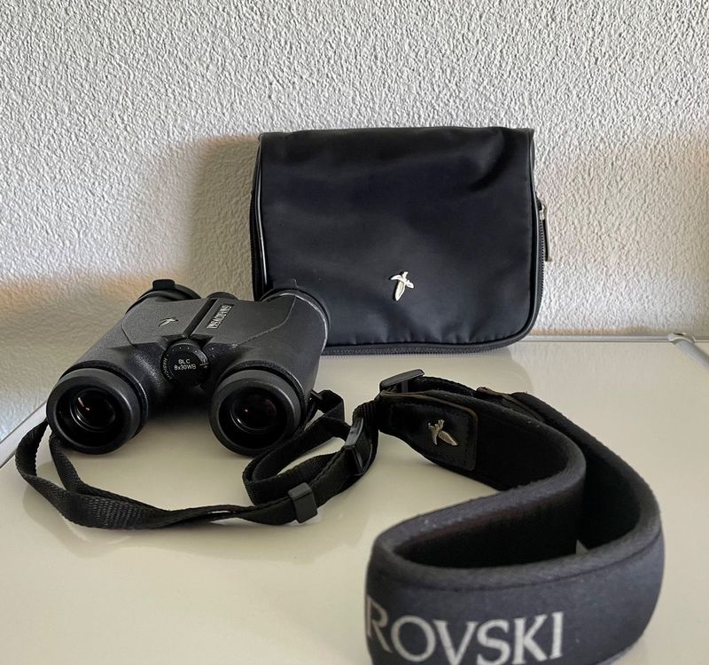 Swarovski Habicht Slc X Wb Schwarz Kaufen Auf Ricardo