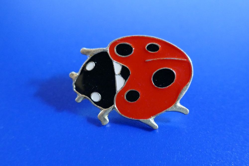 Pin S Coccinelle Kaufen Auf Ricardo