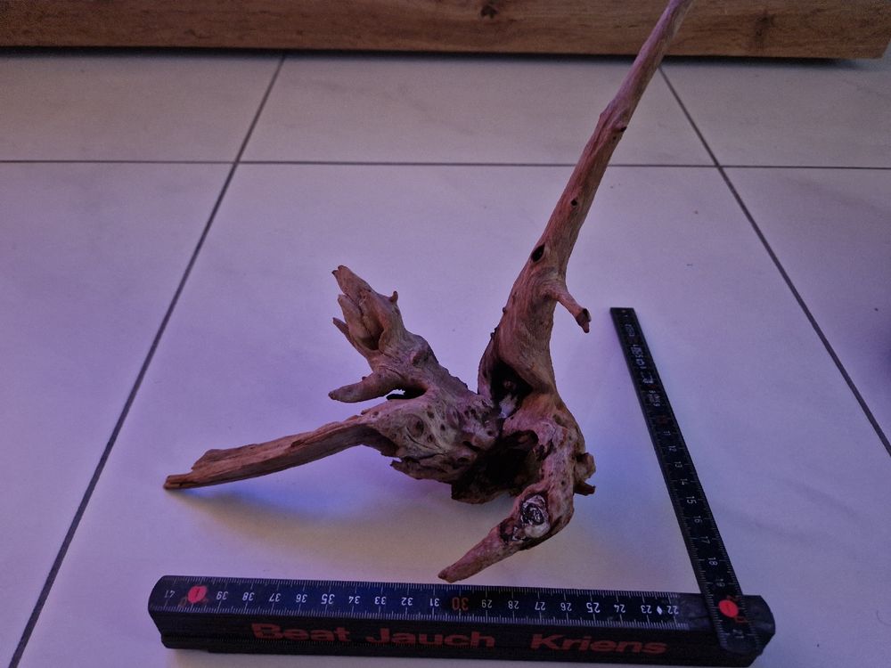 Aquarium Terrarium Holz Kaufen Auf Ricardo