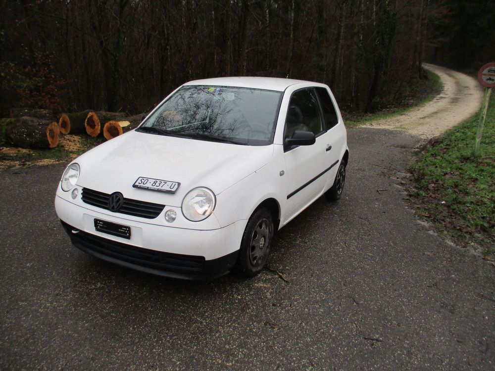 VW Lupo Ab MFK 31 10 2022 Kaufen Auf Ricardo