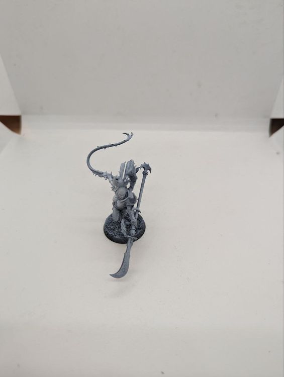 Succubus Warhammer 40k Drukhari Kaufen Auf Ricardo