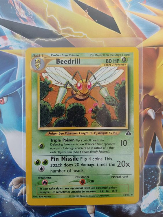 Beedrill Neo Rare Vintage Pokémon TCG Karte Kaufen auf Ricardo