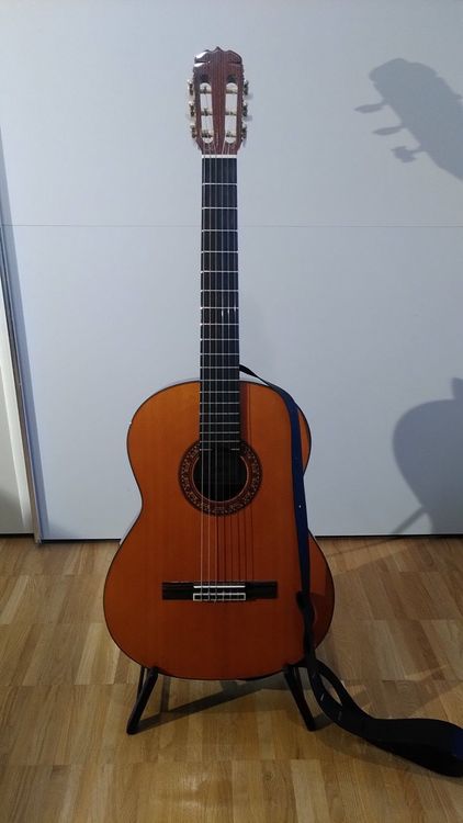 Gitarre Aria A 588 Kaufen Auf Ricardo