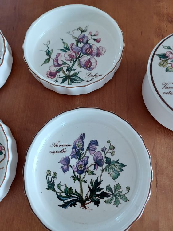 Villeroy Boch Ofengeschirr Botanica Lot Deckeldose Kaufen Auf Ricardo