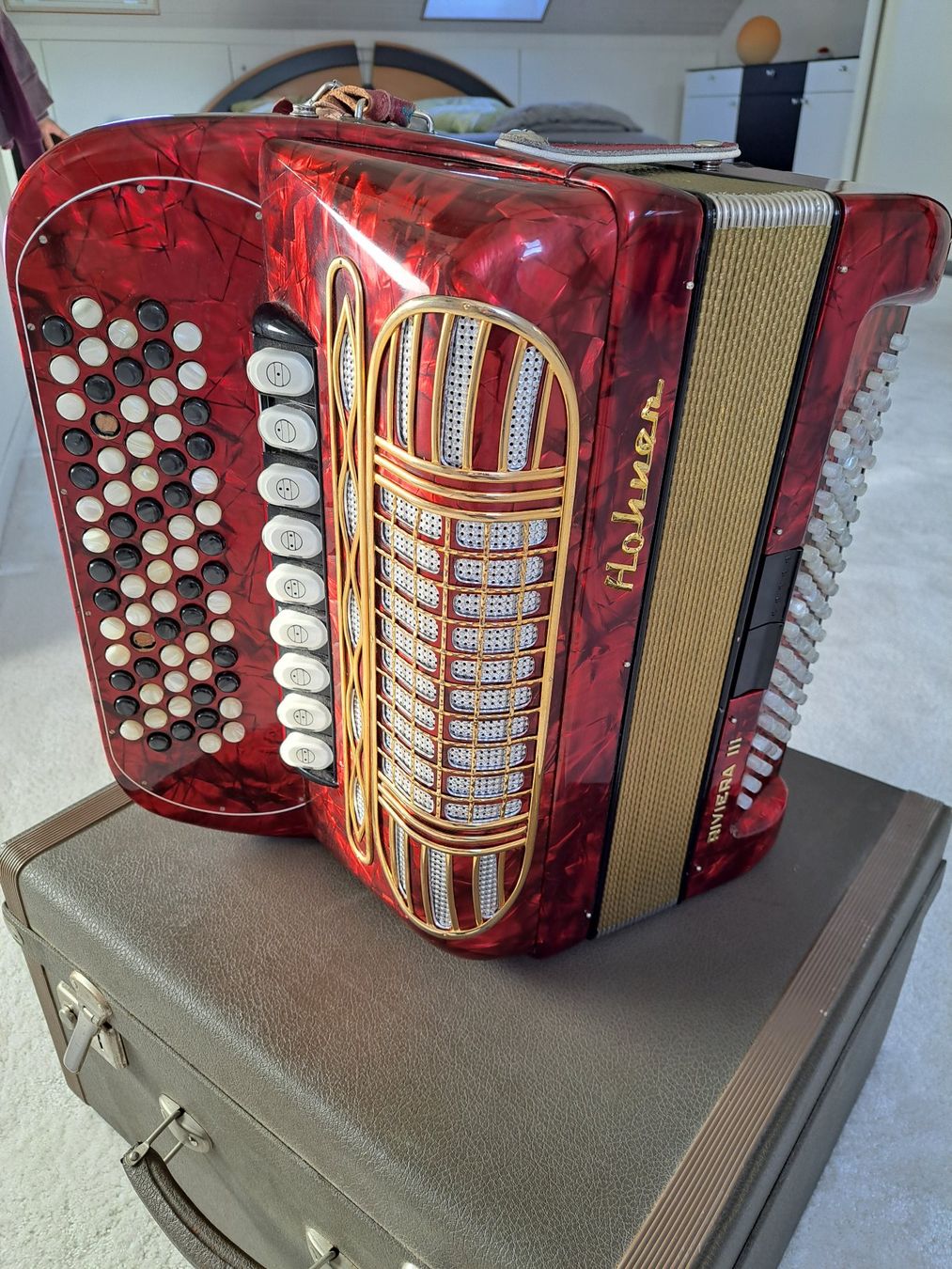 Hohner Riviera III Handharmonika Akkordeon Koffer Kaufen Auf Ricardo