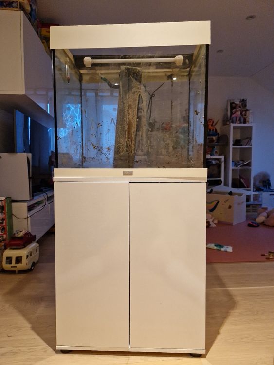 Aquarium Juwel Kaufen Auf Ricardo