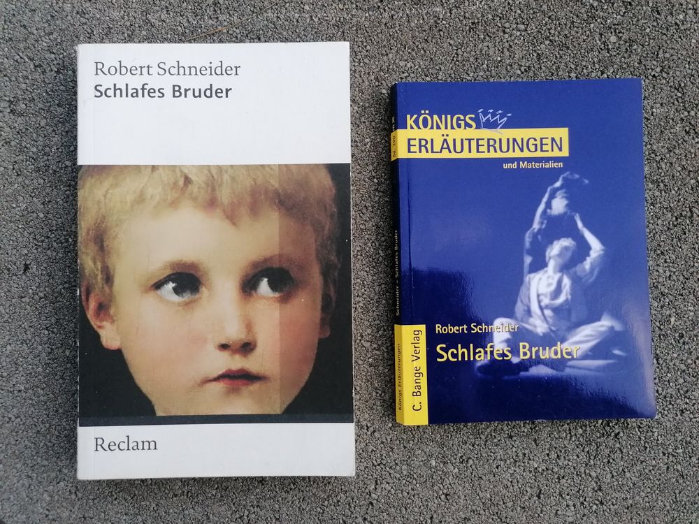 Schlafes Bruder Buch und Königs Erläuterungen Kaufen auf Ricardo