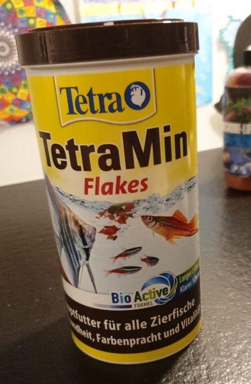 Sch Nes Aquarium Mit Vielem Zubeh R Und Mehr Als Fischen Kaufen