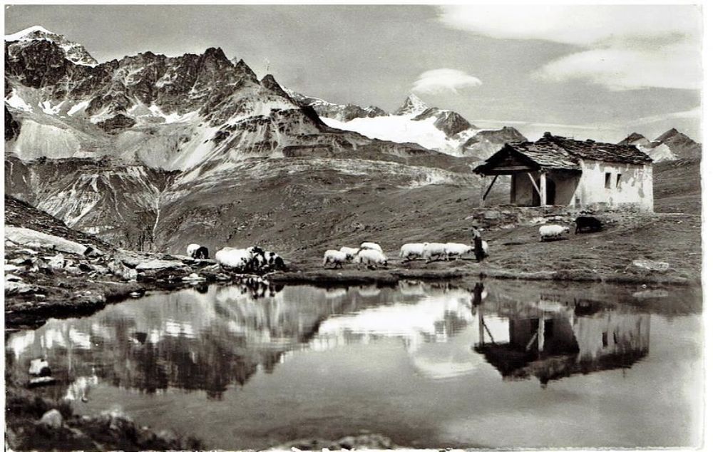 Zermatt Schwarzsee Untergabelhorn Kaufen Auf Ricardo