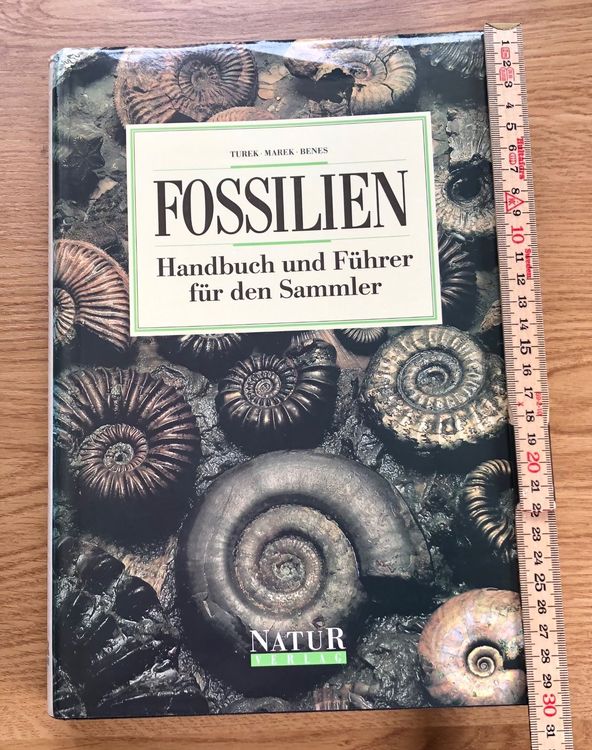 Buch Fossilien Kaufen Auf Ricardo