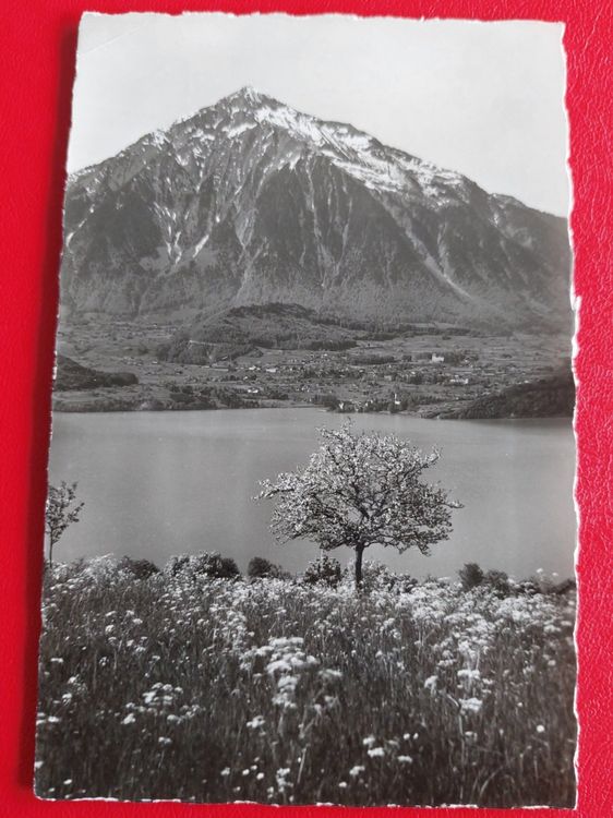 Sigriswil Blick Auf Niesen Und Thunersee Kaufen Auf Ricardo