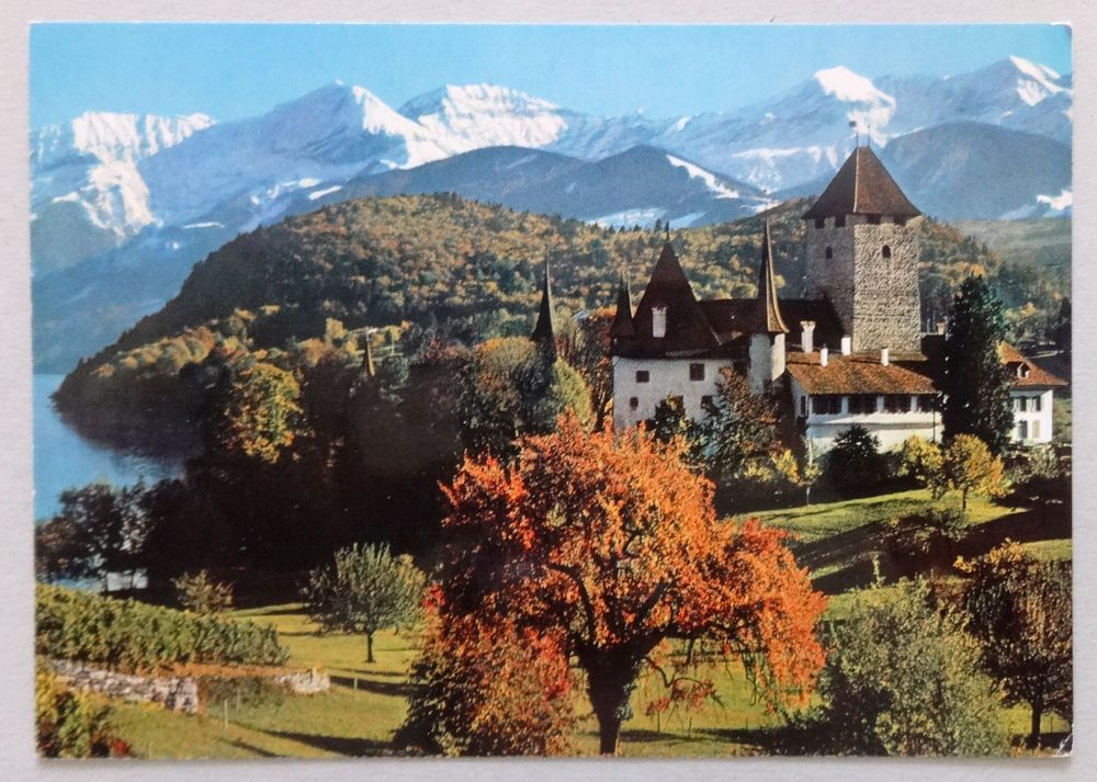 Schloss Spiez Am Thunersee Kaufen Auf Ricardo