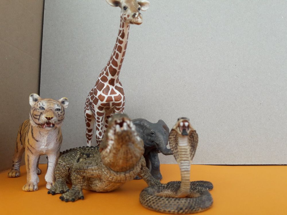 5 Tiere Tiger Elefant Schlange Giraffe Aligator Schleich Kaufen