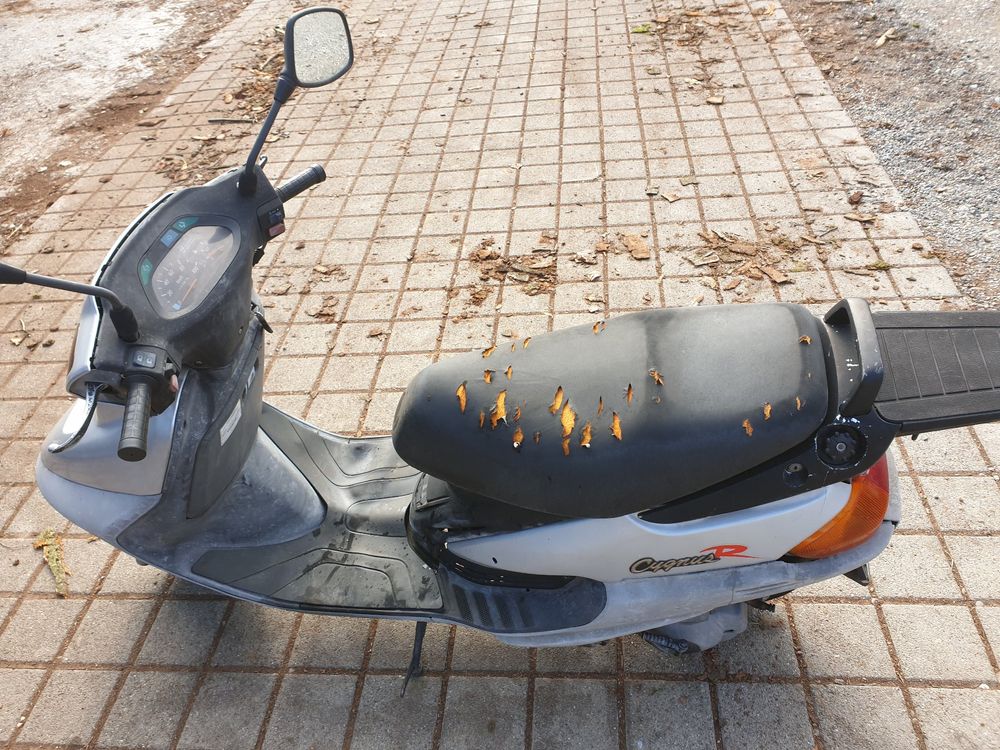 Yamaha Cygnus R 125 Roller Scooter Kaufen Auf Ricardo