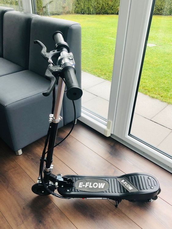 Elektro Trottinett E Scooter Flow Km Kaufen Auf Ricardo