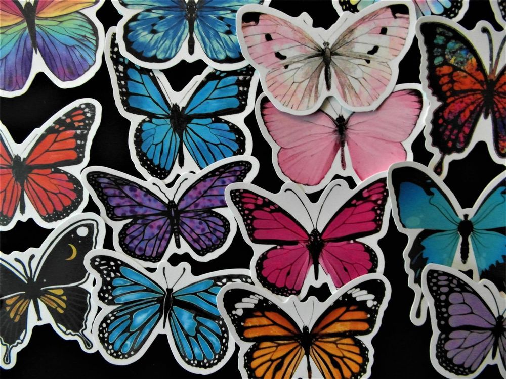 Aufkleber Stickers Schmetterling Kaufen Auf Ricardo