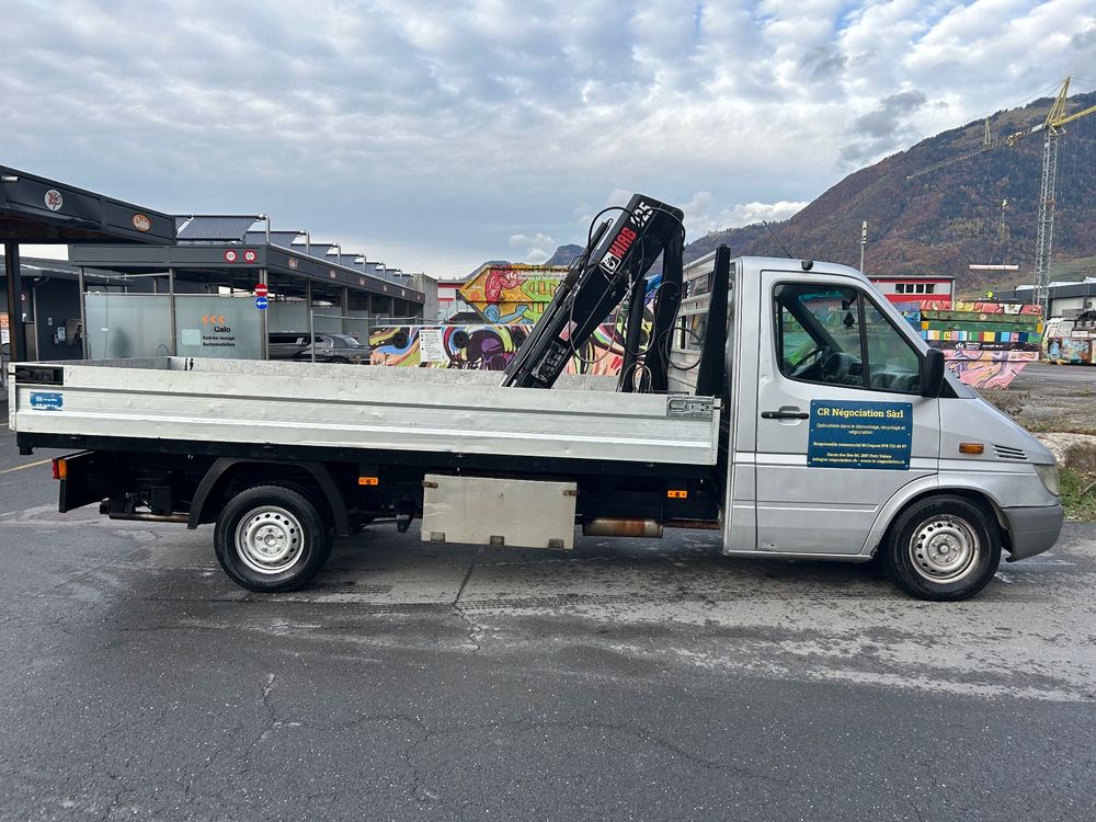 Mercedes Benz 311CDI Avec Grue De Levage Kaufen Auf Ricardo