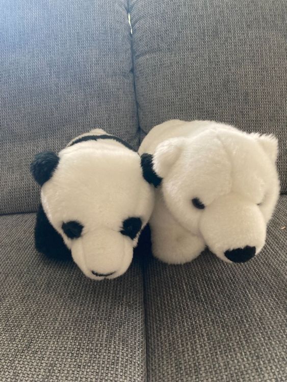 Plüschtier Panda und Eisbär Kaufen auf Ricardo