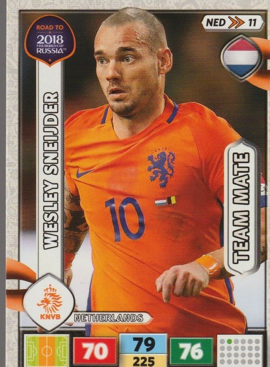 Road To Russia Adrenalyn Card Team Mate Wesley Sneijder Kaufen