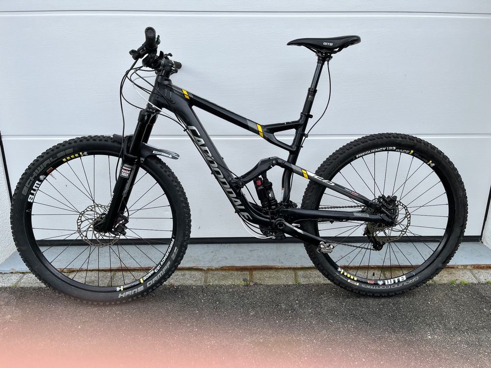 MTB Cannondale Jekyll Kaufen Auf Ricardo