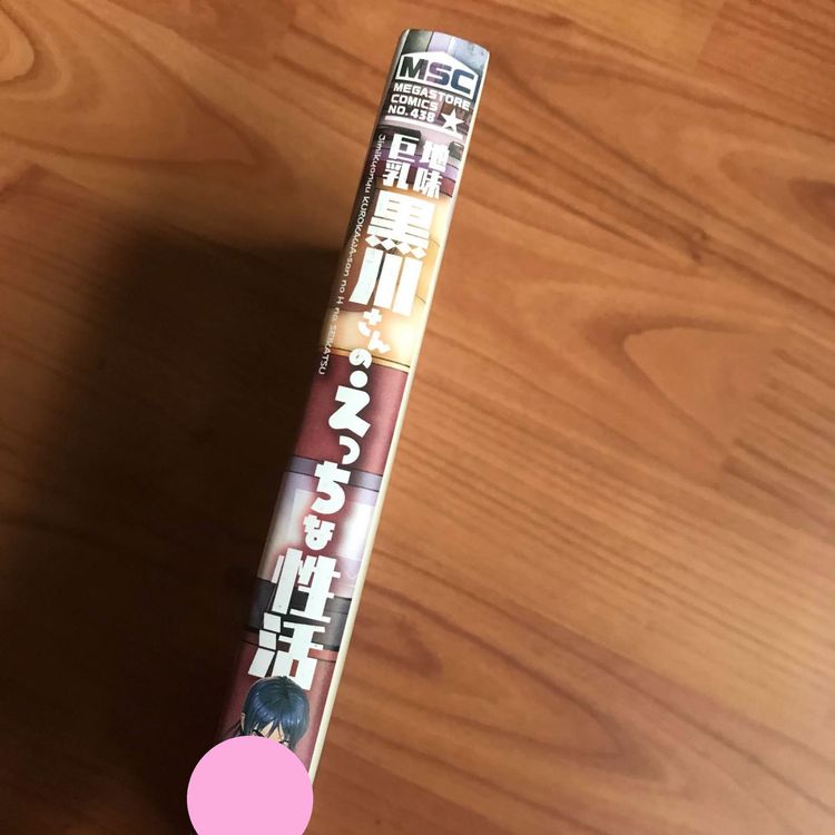 Erotik Kotoyoshi Hentai Manga Japan Kaufen Auf Ricardo