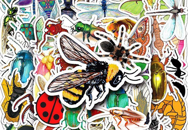 50 Stk Sticker Aufkleber Bunte Insekten Acheter Sur Ricardo