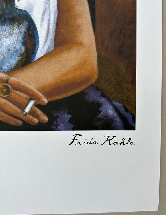 Frida Kahlo Ich Und Meine Papageien 48 250 Kaufen Auf Ricardo