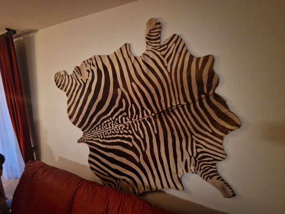 Zebra Echt Kaufen Auf Ricardo