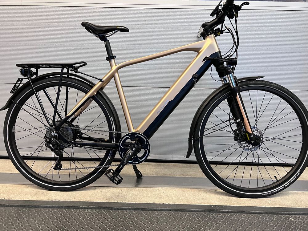 E Bike 45Km H Allegro Top Zustand Kaufen Auf Ricardo