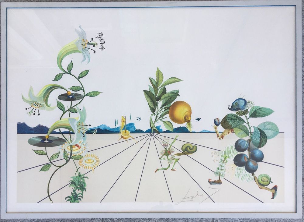 Salvador Dali grosse Präge Litho handsig Kaufen auf Ricardo