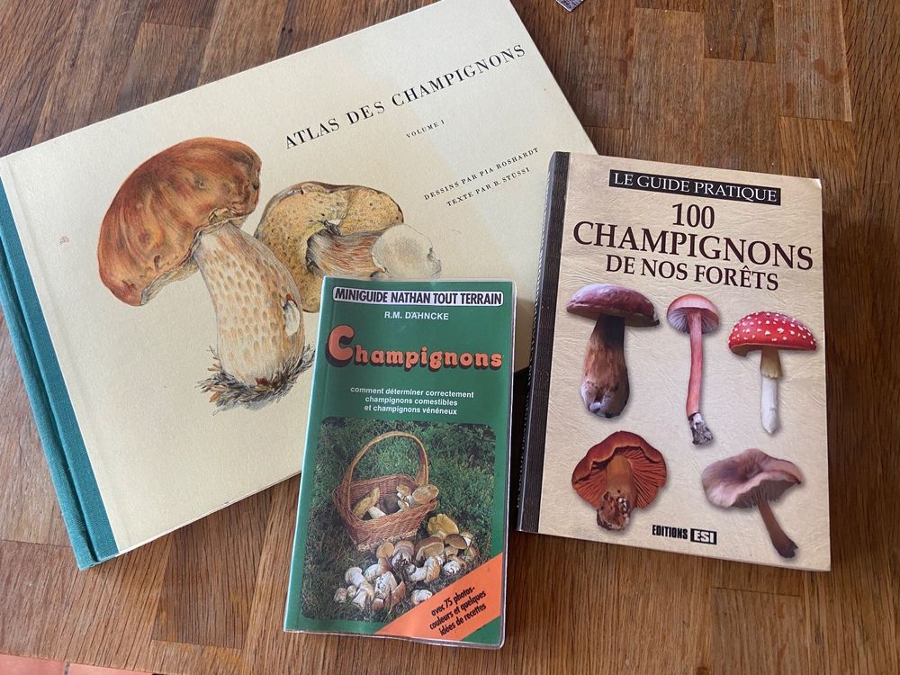 X Guide Des Champignons C Est La Saison Kaufen Auf Ricardo