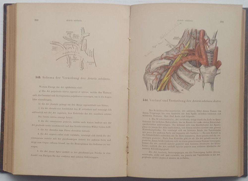 Illustrierter Atlas Der Deskriptiven Anatomie S Kaufen