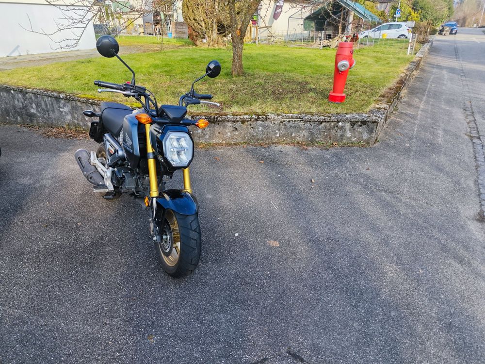 Honda Msx Grom Kaufen Auf Ricardo