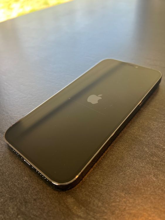 Apple Iphone Pro Max Gb Graphite Kaufen Auf Ricardo