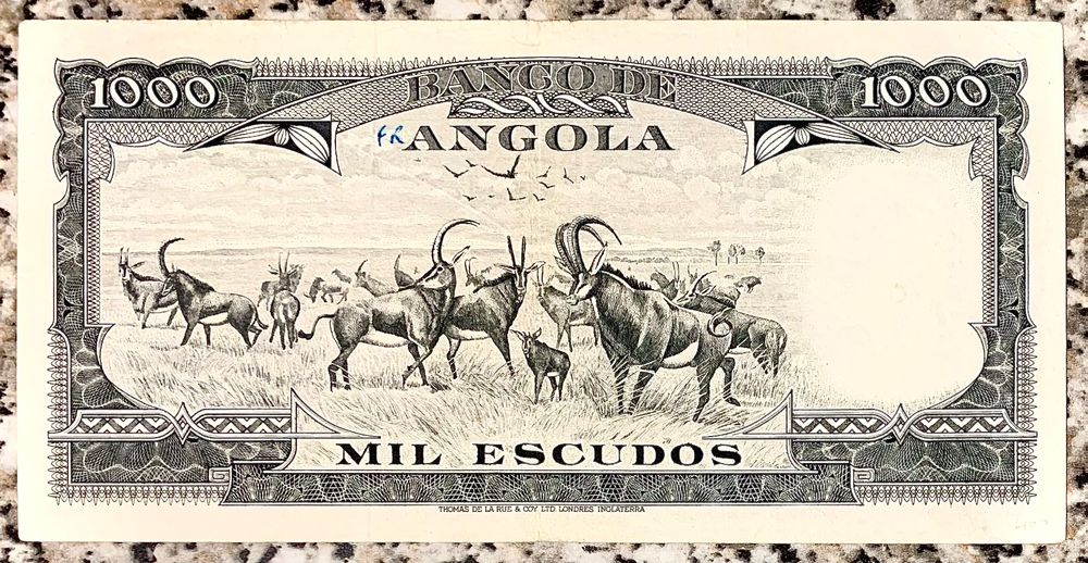 1000 Escudos Angola 1956 Rarität Kaufen auf Ricardo