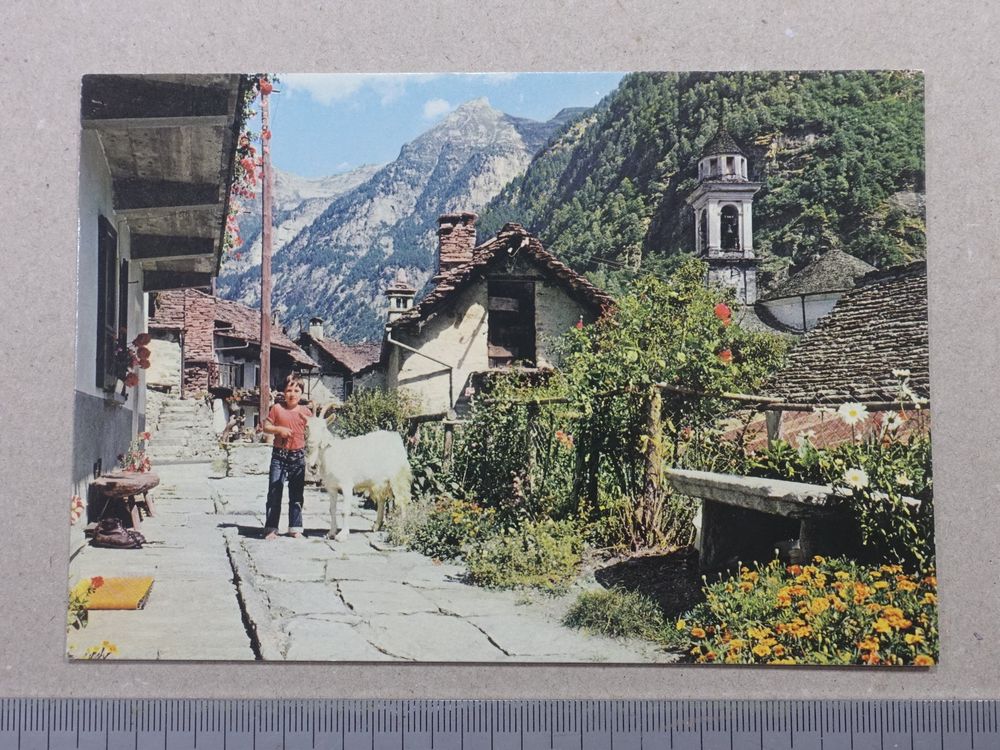 Sonogno Valle Verzasca Belebt Kind Ziege Kaufen Auf Ricardo