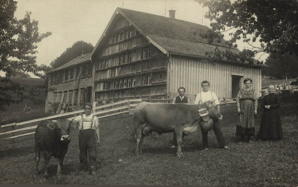 Appenzeller Bauernhaus Mit Bauern Und K Hen Kaufen Auf Ricardo