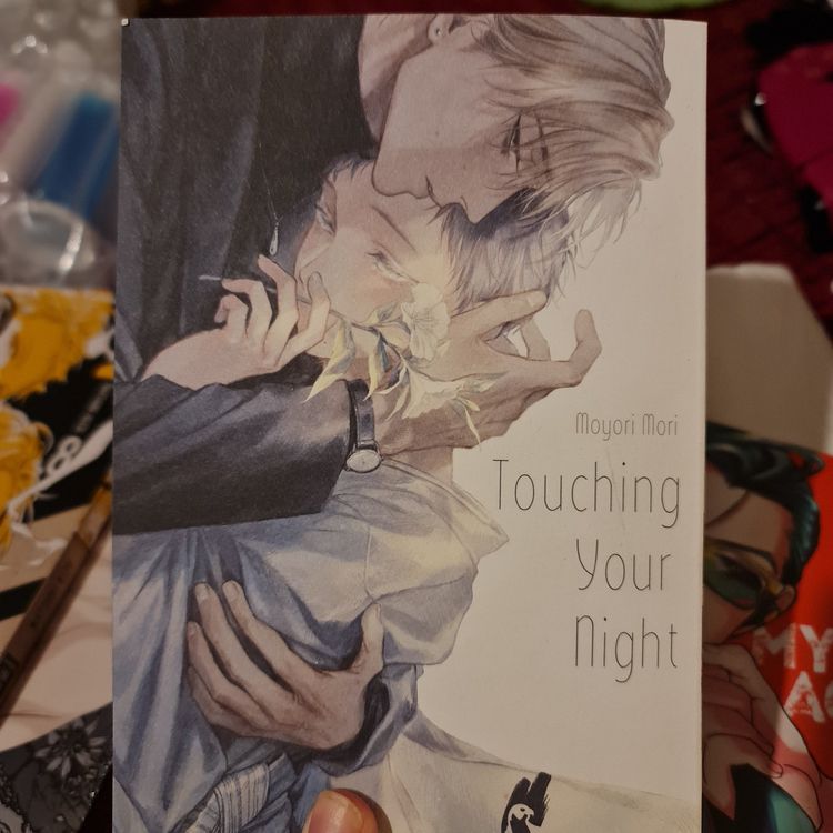 Touching Your Night BL Manga Kaufen Auf Ricardo