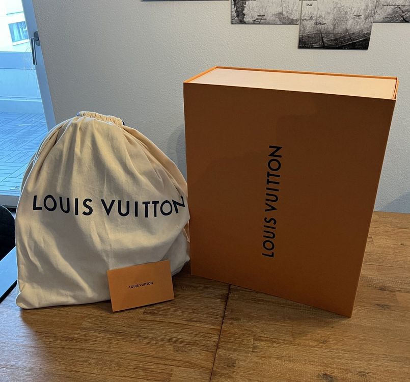 Louis Vuitton Rucksack Palm Springs Mm Kaufen Auf Ricardo