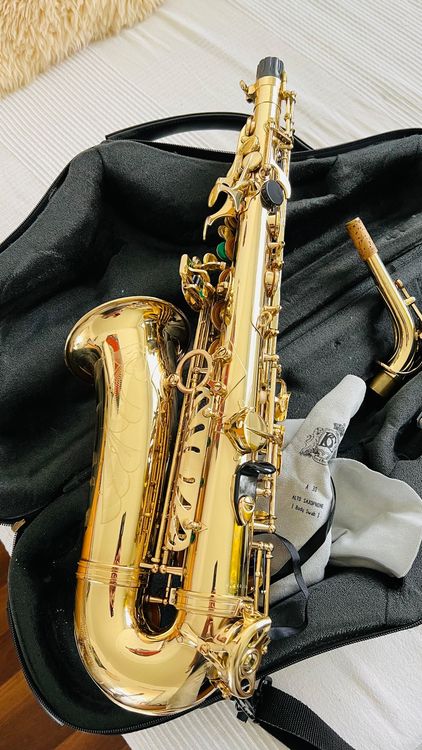 Alt Saxophon Selmer Super Action Serie Ii Kaufen Auf Ricardo