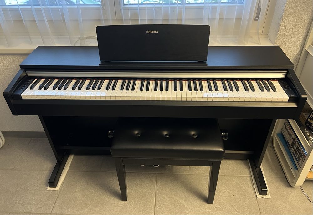 Yamaha Arius Ypd Kaufen Auf Ricardo